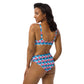 "Sweet Cupcake" (with nipple cherry) High-Waisted Bikini